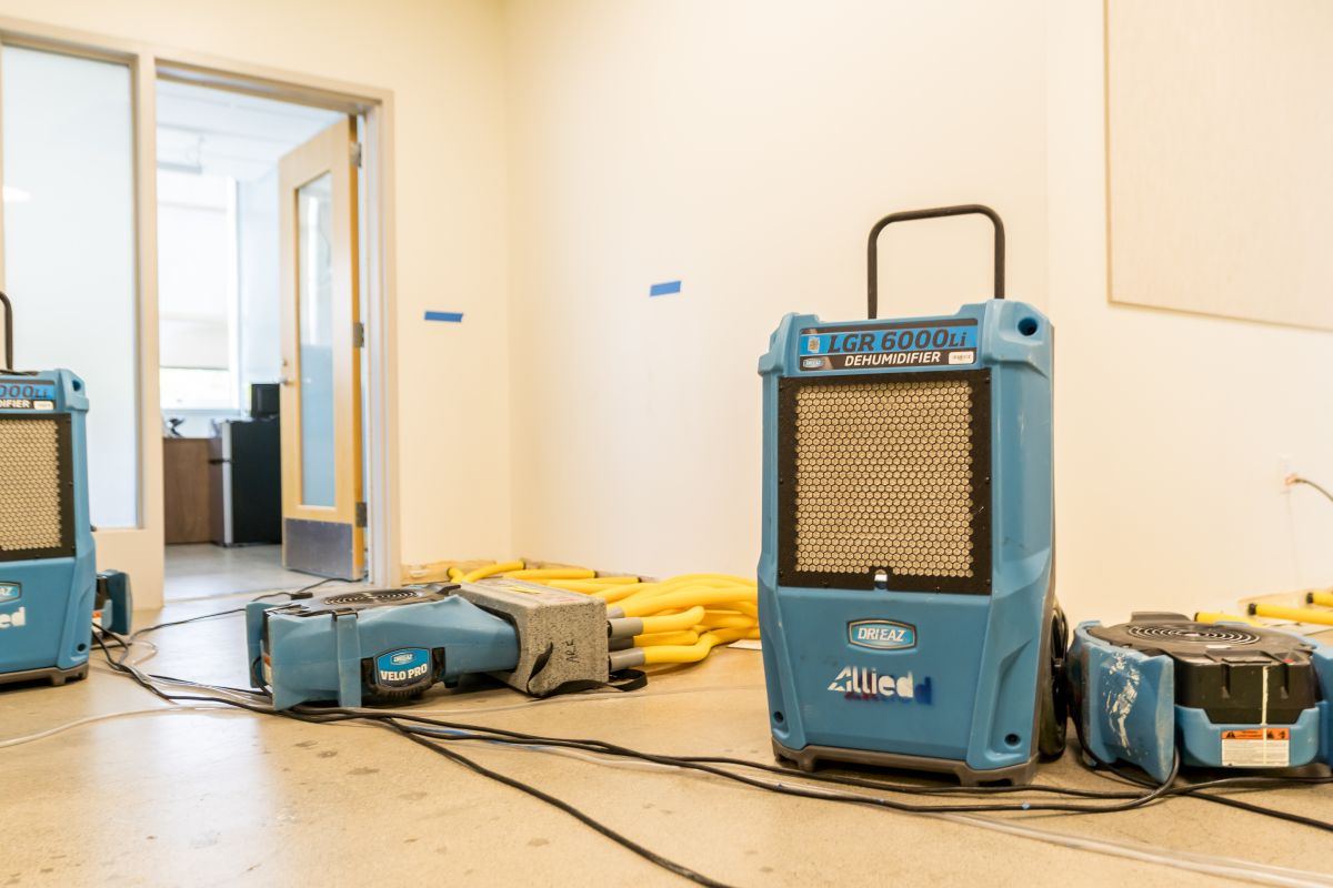 Commercial drying