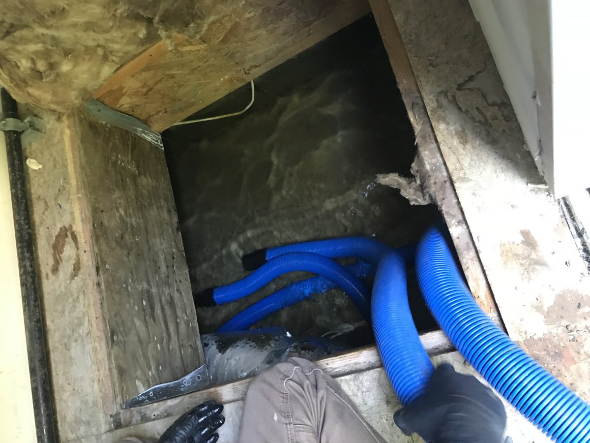 Photo May 18, 10 46 50 AM Allied Rental Company Equipment Rentals