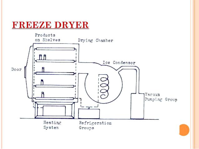 How to Build a Freeze Dryer 