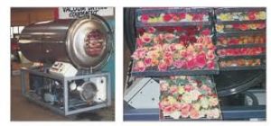 flower freezdryer rentals