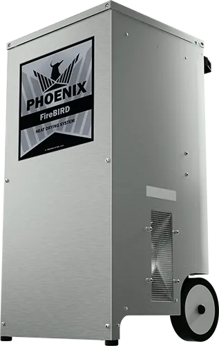 PhoenixFireBird
