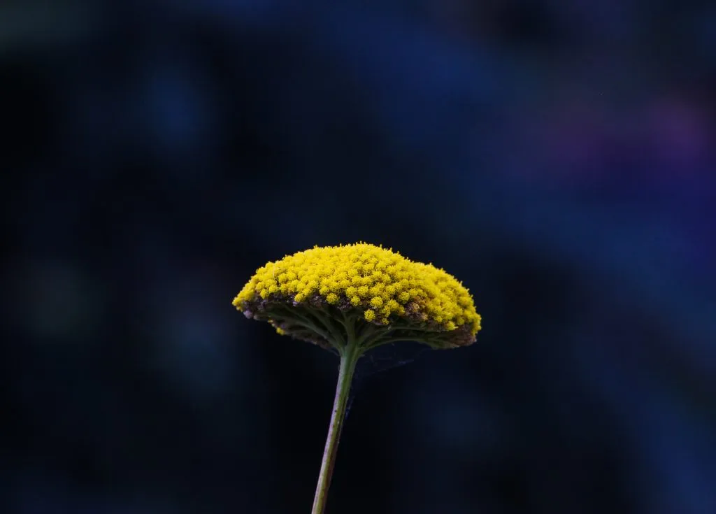 What Air Filtration Device Options Can Handle Smoke And Pollen 